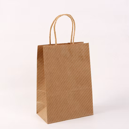 China Factory Fashion Promotional Paper Shopping Bag Custom Kraft Paper Bag