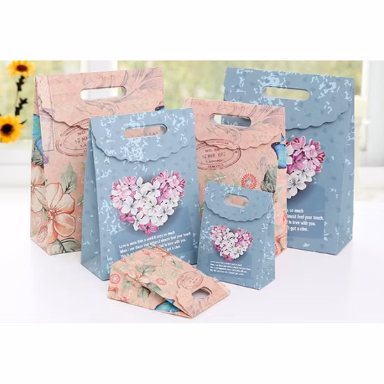 衣類や靴の包装用のリボンハンドル付きカスタム印刷された高級ギフトショッピング紙袋