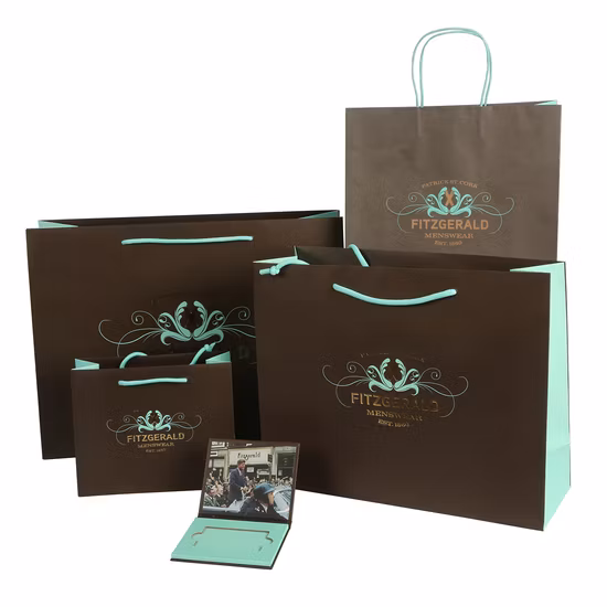 ロゴプリント、化粧品や高級ギフト用のハンドルを使って紙のショッピングバッグをカスタマイズします。